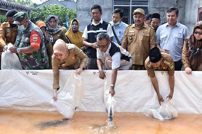Bupati Inhu Rezita Meylani Yopi didampingi General Manager PT Inecda Khamdi, Camat Sungai Lala Elpahri Adha saat menabur bibit ikan, Senin (13/6/2022).