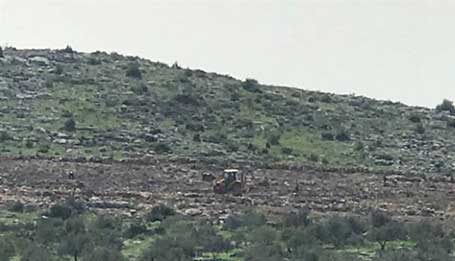 LAHAN: Buldozer milik Israel terlihat membuldozer kebun dan mencabut ratusan pohon milik Palestina, Senin (25/2/2019). (JPG)