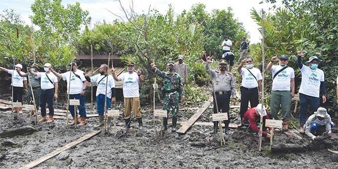 Penanaman mangrove secara simbolis oleh BBKSDA, Disbun Inhil, Muspika Kecamatan Belenkong serta PT THIP.