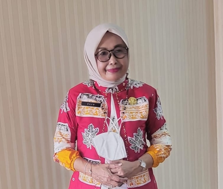 Kepala Diskes Inhu, Elis Julinarti DCN MKes