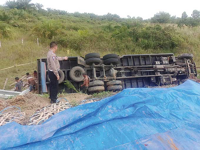 Truk bermuatan jeruk asal Brastagi, Sumatera Utara terguling usai mengalami kecelakaan tunggal di Jalan Tol Permai Km 81 B, Kabupaten Bengkalis, Senin (31/10/2022).