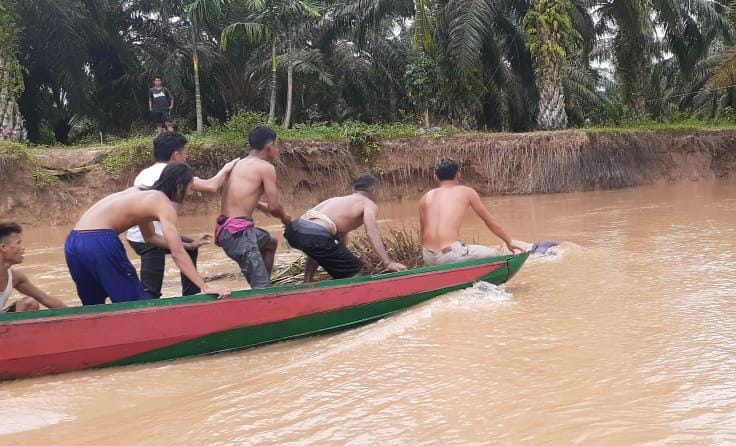 Warga menemukan korban hanyut di Sungai Batang Lubuh dalam konsisi tewas. Korban hanyut dievakuasi oleh Tim Gabungan bersama dari Basarnas, BPBD, Polsek, Koramil 14 Kepenuhan dan puluhan masyarakat setempat.