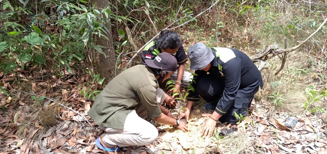 Komunitas sosial dan pecinta alam saat melakukan penanaman 1000 pohon di kawasan Hutan Talang, Duri, Kabupaten Bengkalis.(RSF FOR RIAUPOS.CO)