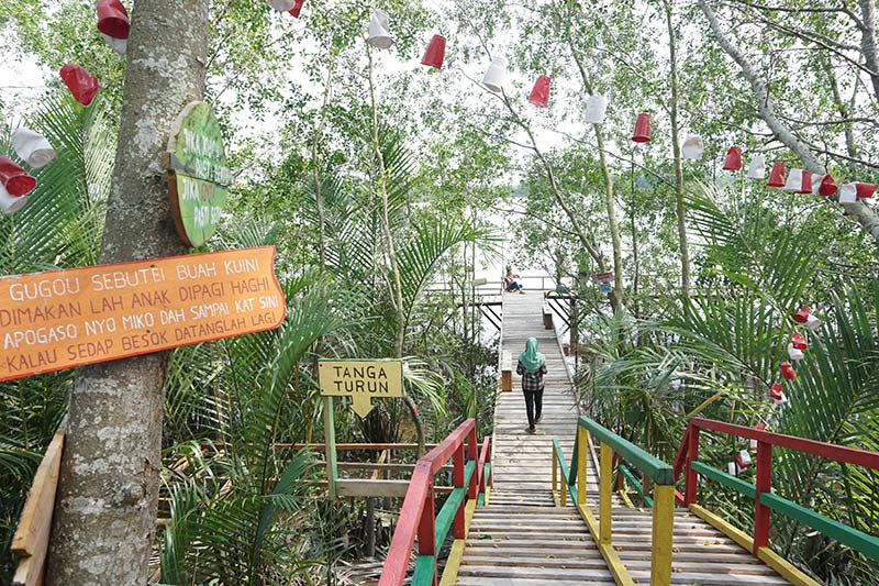 Jembatan menurun warna-warni mempercantik wisata mangrove di Desa Sabak Permai, Kecamatan Sabak Auh, Siak Sri Indrapura, Ahad (17/11/2019). foto: kacamata gober for riau pos