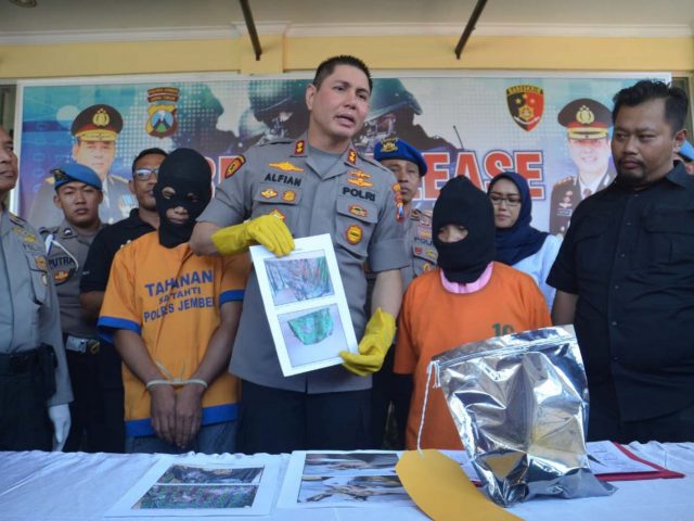 TERBAKAR DENDAM: Kapolres Jember AKBP Alfian Nurrizal menunjukkan tersangka dan barang bukti pembunuhan di Mapolres Jember, Kamis (7/11). (Jumai/Jawa Pos Radar Jember)