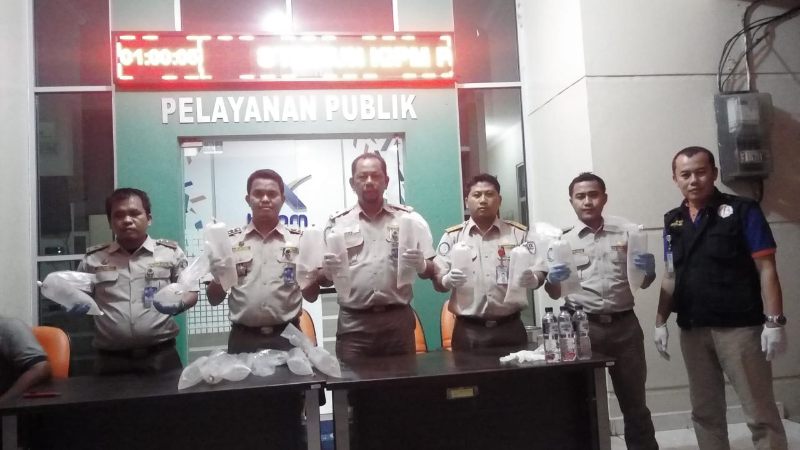 Kepala Subseksi Wasdalin Kantor Stasiun KIPM Pekanbaru Subhan Riza, Penyidik Pegawai Negeri Sipil (PPNS) Bahtiar Denny Edison dan penyidik lainnya memperlihatkan barang bukti ratusan ribu benih lobster hasil tangkapan, Sabtu (4/5/2019) dinihari.