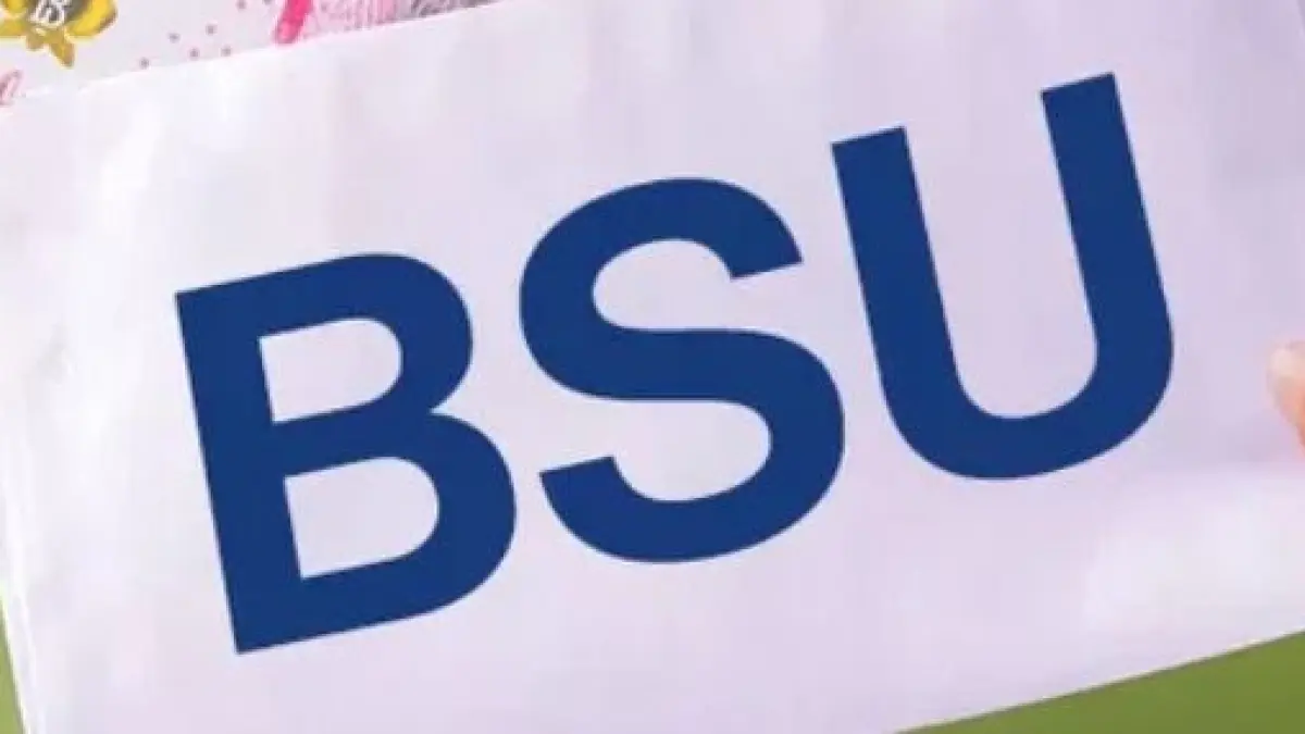 Ilustrasi BSU tahun 2026.