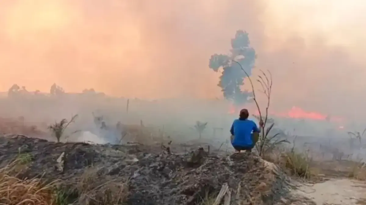 Kabut asap yang melanda Berau akibat kebakaran hutan dan lahan sementara belum mengganggu jarak pandang pilot untuk landing maupun take off di Bandara Kalimarau.