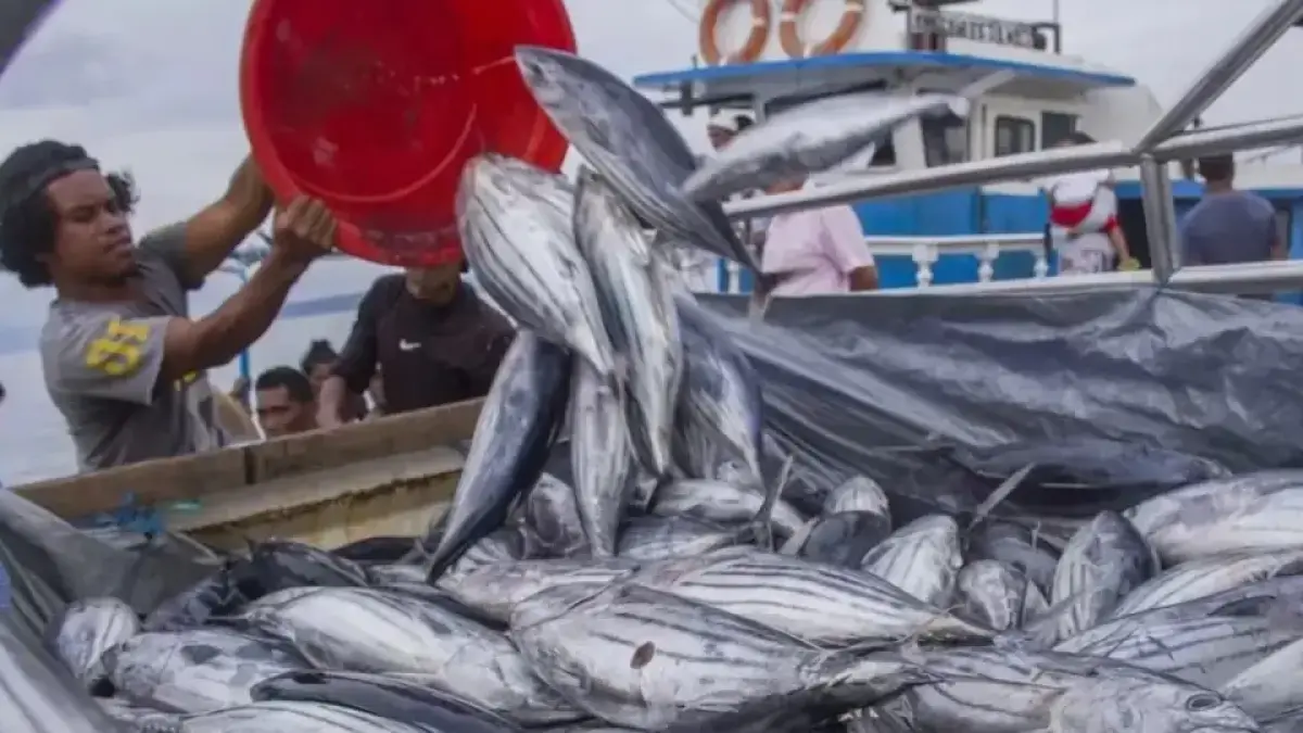 Kabupaten Penajam Paser Utara memiliki potensi perikanan tangkap hingga 6.740 ton pada 2026 untuk menopang kebutuhan ikan masyarakat dan IKN.